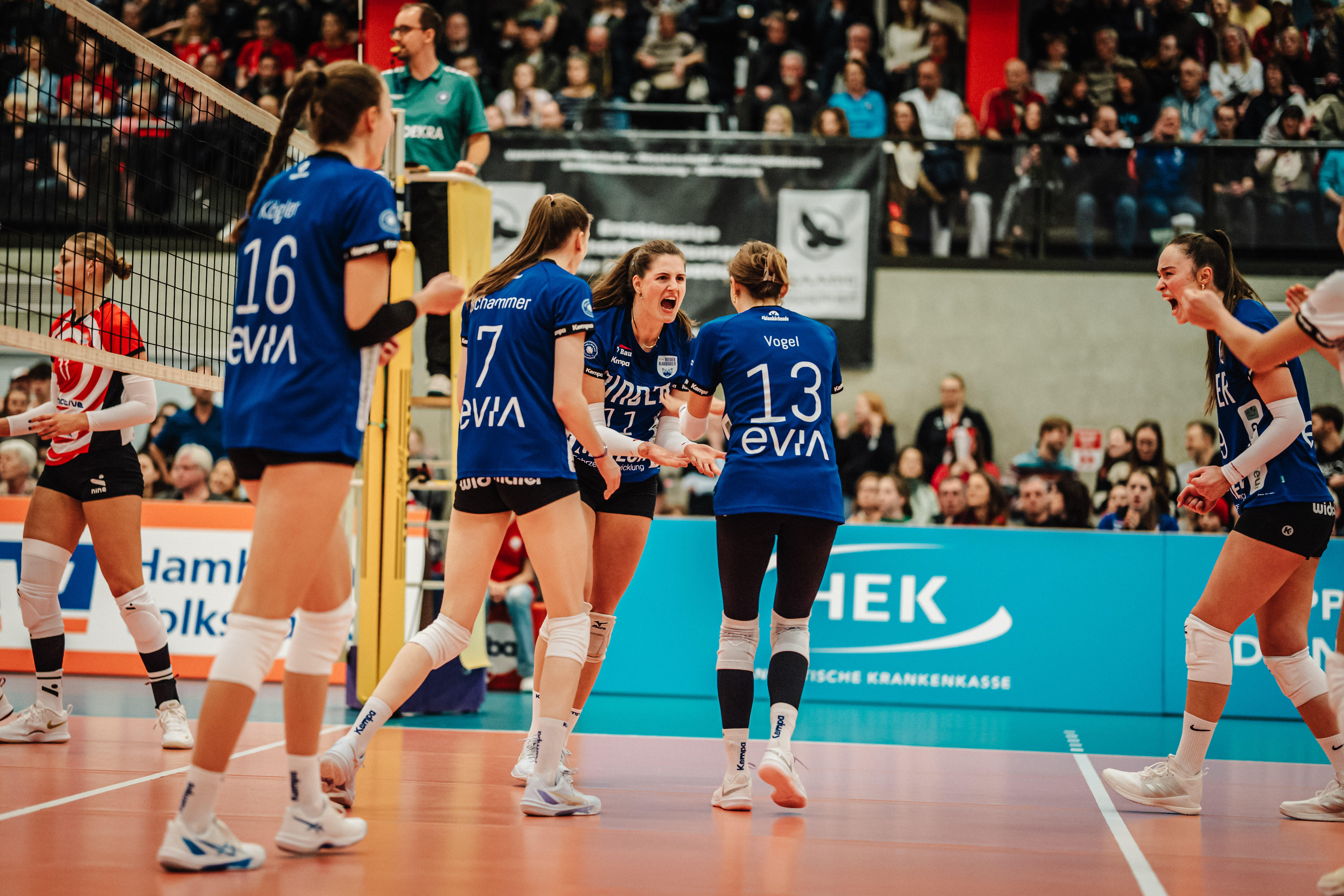 Flachter Blaubären wollen die Serie gegen Hamburg beenden